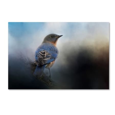 Jai Johnson 'Blue Winter Visitor' Canvas Art,22x32